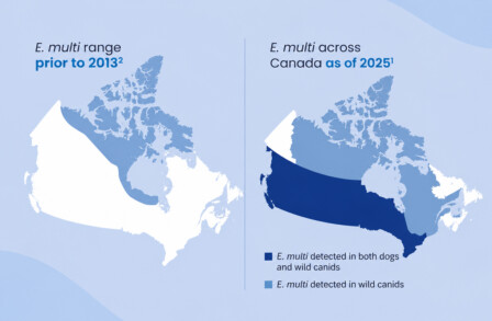 E. multilocularis in Canada: An expanding parasite range