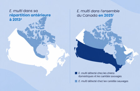 E. multilocularis au Canada : une expansion de l’aire de répartition du parasite