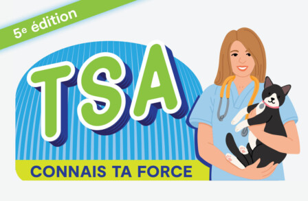 RVT PWR 2026 - Diabète félin : compétences pratiques. Des soins en toute confiance.
